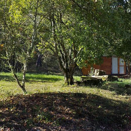 Agricampeggio Madonna Di Pogi Bucine Pokoj fotografie