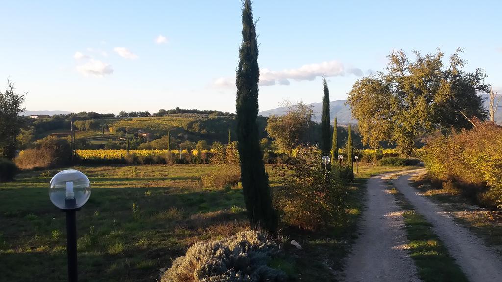 Agricampeggio Madonna Di Pogi Bucine Exteriér fotografie