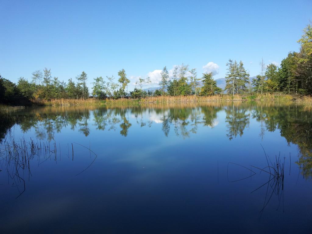 Agricampeggio Madonna Di Pogi Bucine Exteriér fotografie