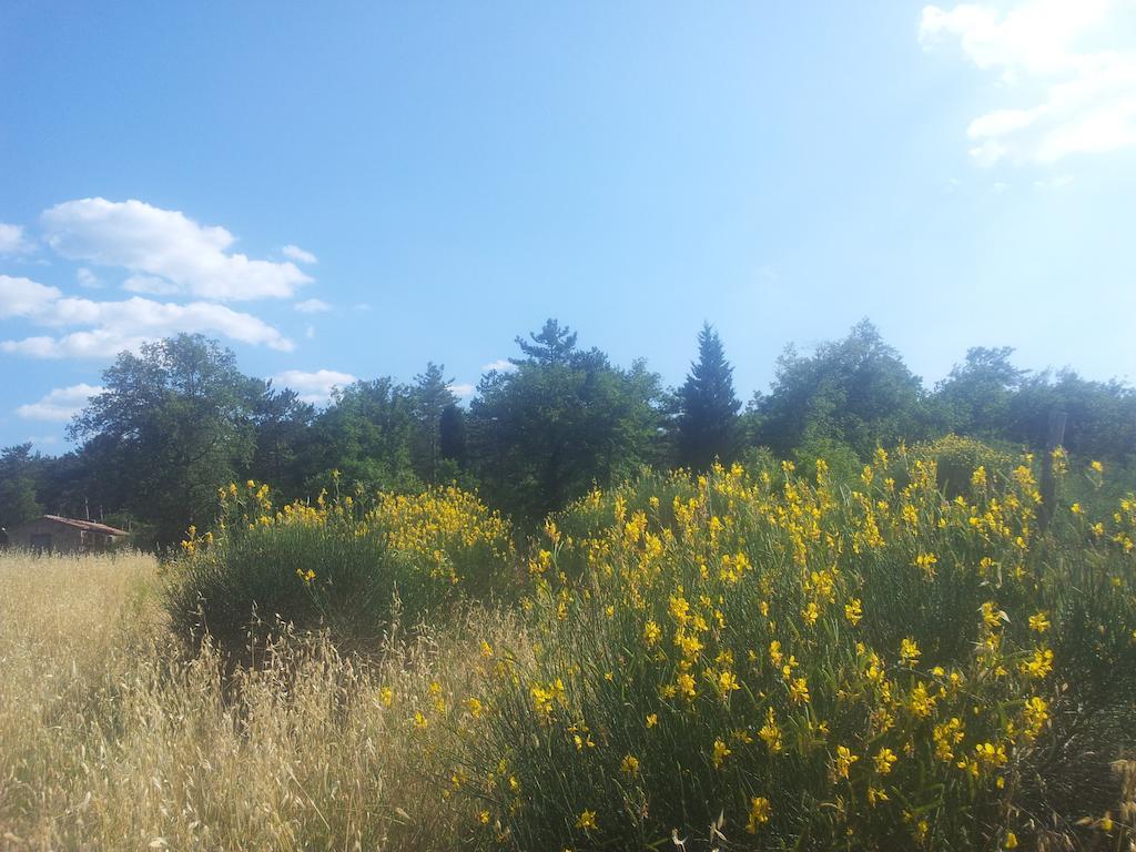 Agricampeggio Madonna Di Pogi Bucine Exteriér fotografie