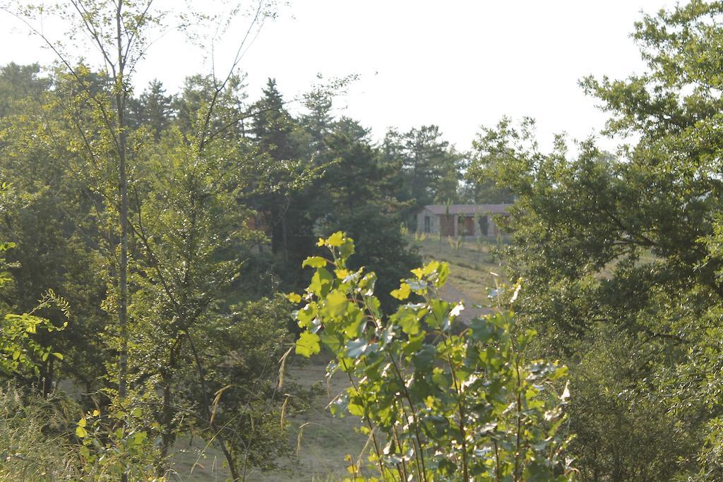 Agricampeggio Madonna Di Pogi Bucine Exteriér fotografie